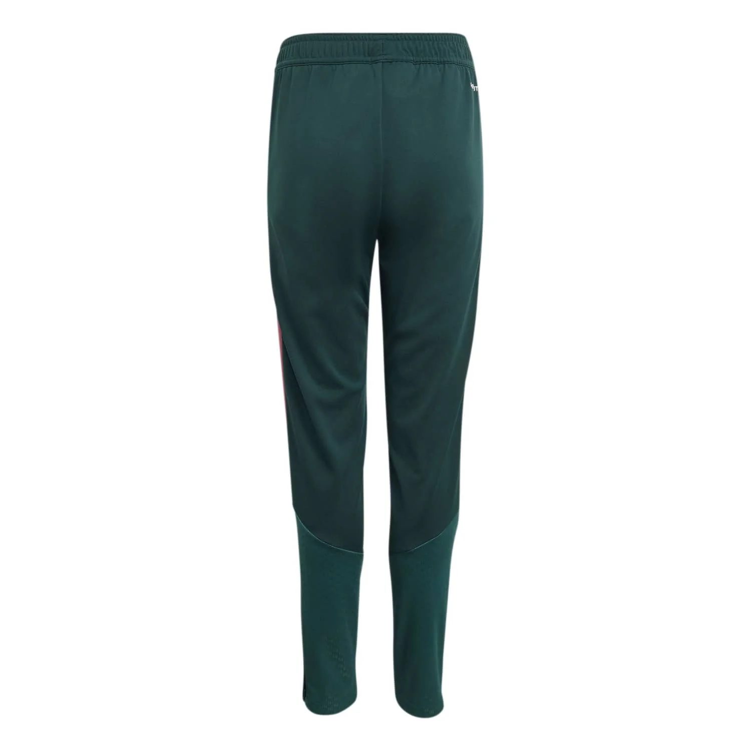 Youth adidas Training Pants 26/27 Green - Image 3